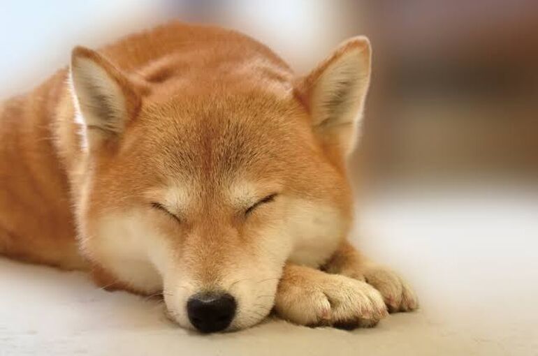 BED387C8-1AE7-45C5-B1F5-73A88C04FA77